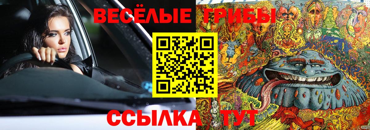 Галлюциногенные грибы мицелий Кстово