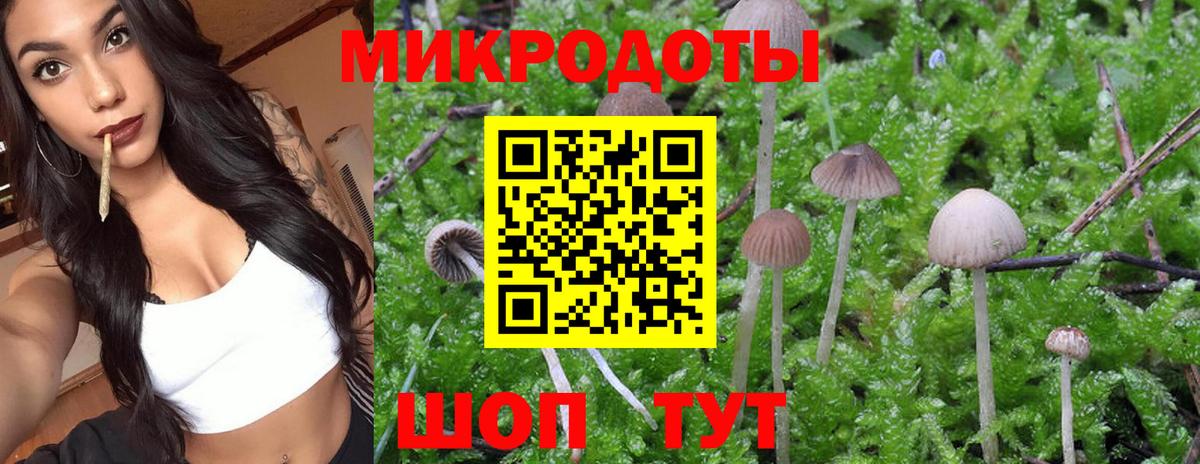 Псилоцибиновые грибы Cubensis  Вход с VPN  Кстово 